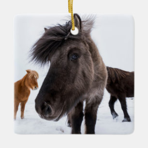 Isländisches Pferd-Potrait, Island Keramikornament
