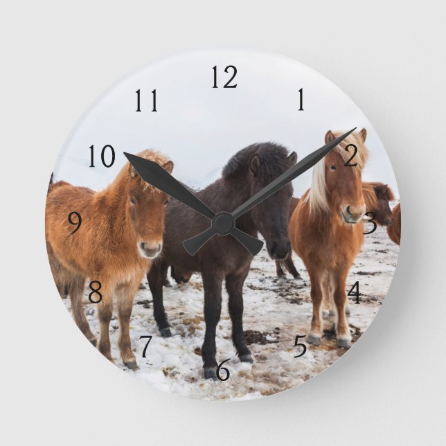 Isländisches Pferd während des Winters auf Island Runde Wanduhr (Vorderseite)