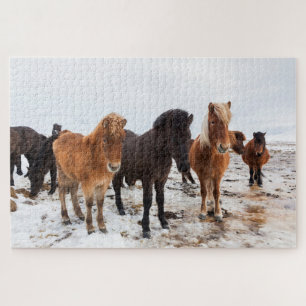 Isländisches Pferd während des Winters Island Puzzle