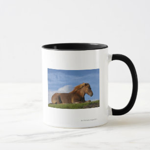 Isländisches Pferdestillstehen und -himmel Tasse