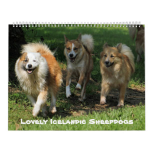 IslandSheepdog 001 Kalender