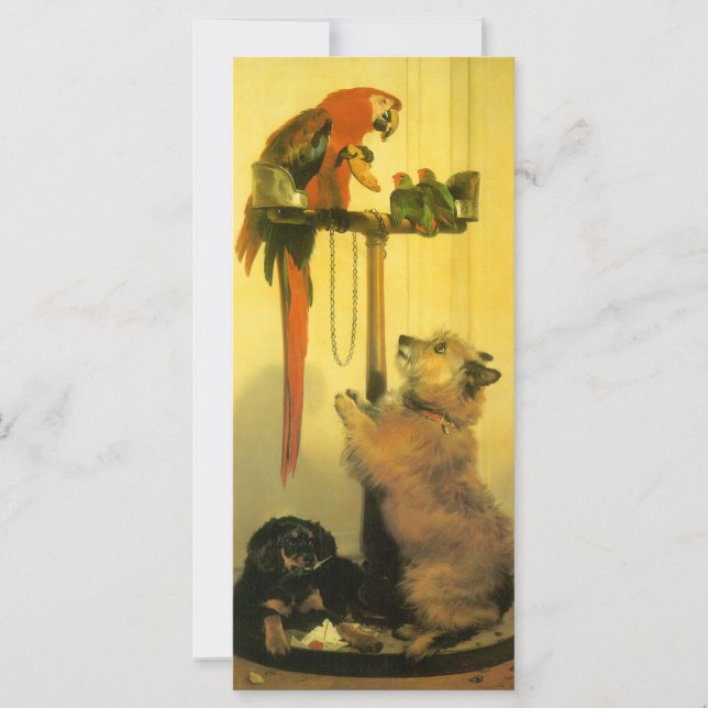 Islay, Tilco, a Macaw and Love Birds by Landseer (Vorderseite)