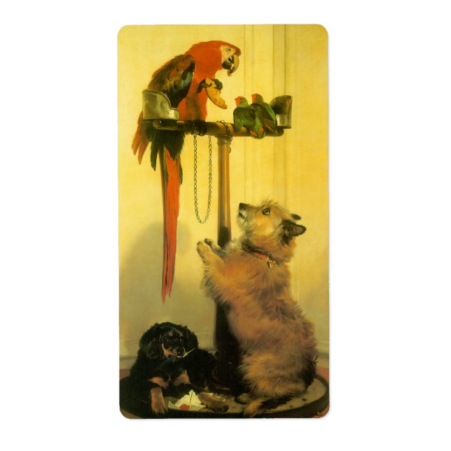 Islay, Tilco, a Macaw and Love Birds by Landseer (Vorne)