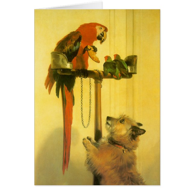 Islay, Tilco, a Macaw and Love Birds by Landseer (Vorne)