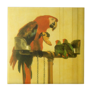 Islay, Tilco, a Macaw and Love Birds by Landseer Fliese