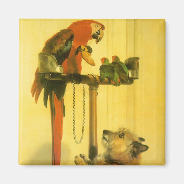 Islay, Tilco, a Macaw and Love Birds by Landseer Magnet (Vorne)