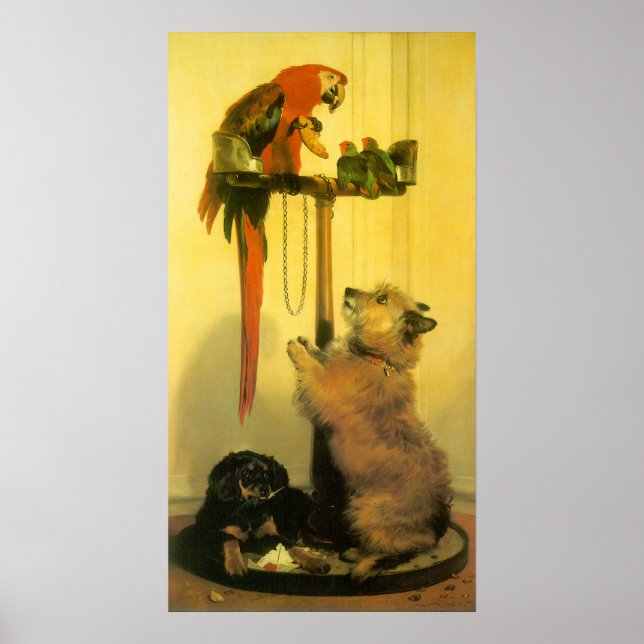 Islay, Tilco, a Macaw and Love Birds by Landseer Poster (Vorne)
