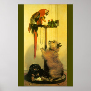 Islay, Tilco, a Macaw and Love Birds by Landseer Poster