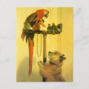 Islay, Tilco, a Macaw and Love Birds by Landseer Postkarte