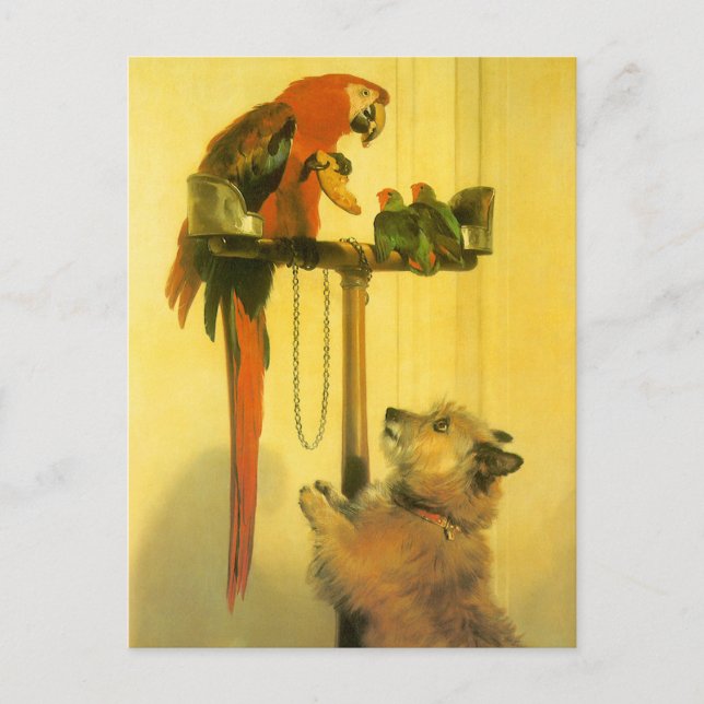 Islay, Tilco, a Macaw and Love Birds by Landseer Postkarte (Vorderseite)