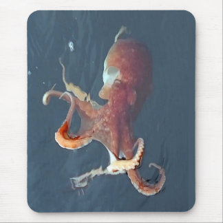 Isle of Skye Octopus Mouse Pad Customisable Marine Mousepad