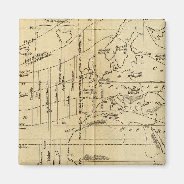 Isothermaldiagramm Magnet (Vorne)