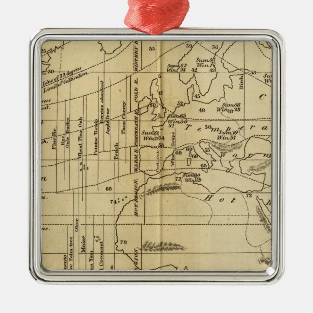 Isothermaldiagramm Silbernes Ornament (Vorne)