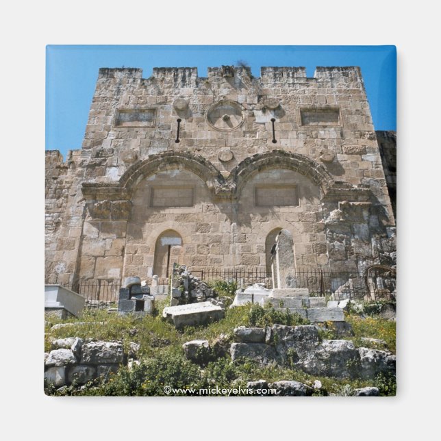 Israel 43 magnet (Vorne)