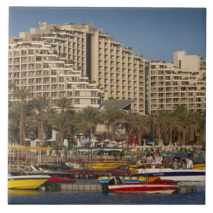Israel, Negev, Eilat, Rotes Meer Fliese