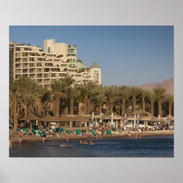 Israel, Negev, Eilat, Rotes Meer Poster (Vorne)