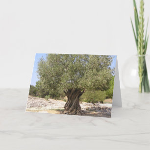 Israel Olive Tree Karte