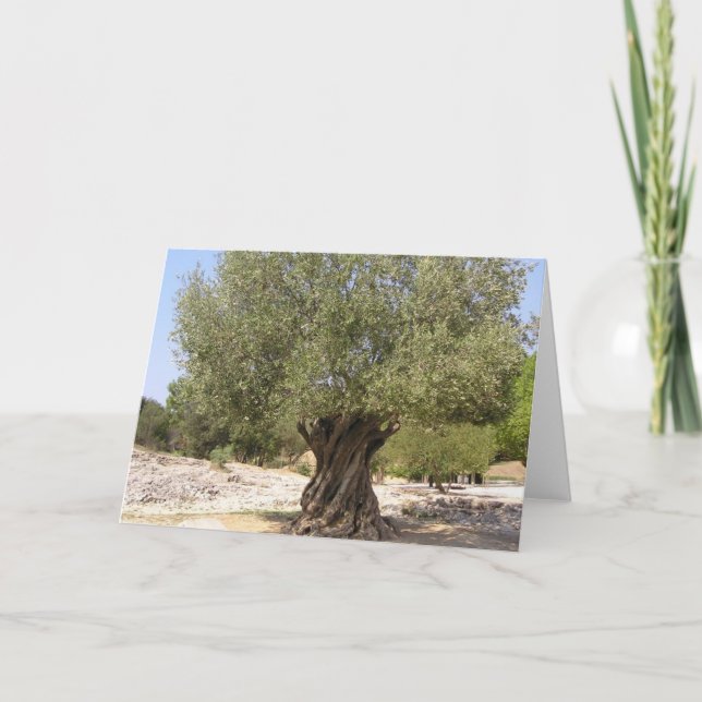 Israel Olive Tree Karte (Vorderseite)