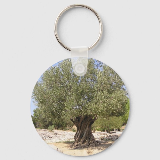 Israel Olive Tree Schlüsselanhänger (Vorderseite)