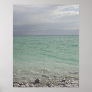 Israel, Totes Meer, Küste Poster