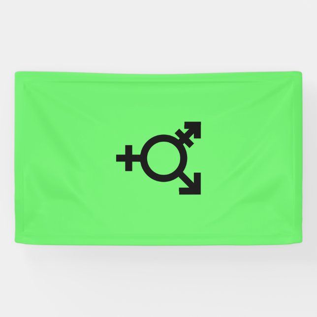 Israeli Transgender Pride Flag  Banner (Horizontal)