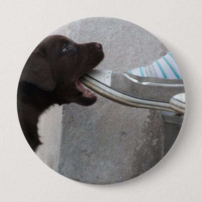 Iss meinen Schuh! Labrador Puppy Button (Vorderseite)