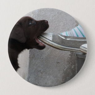 Iss meinen Schuh! Labrador Puppy Button