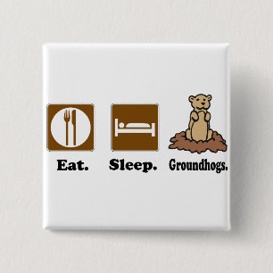 Iss Sleep Groundhogs Button