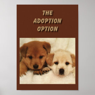 Ist Adoption Ihre erste Option?? Poster