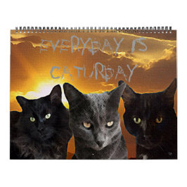 Ist Caturday Kalender täglich
