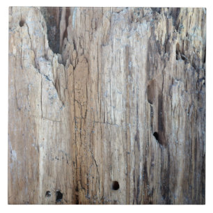 Ist das ein Stück Treibholz Fliese