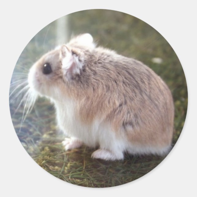 "Ist das eine Biene?" - Tac Sticker (Vorderseite)