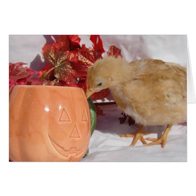 Ist das Essen? (Vorderseite (Horizontal))