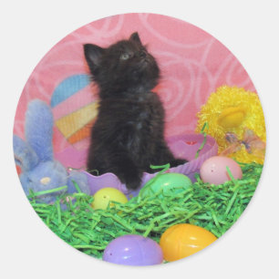 Ist der Osterhase schon da - Katze / Kätzchen Aufk Runder Aufkleber