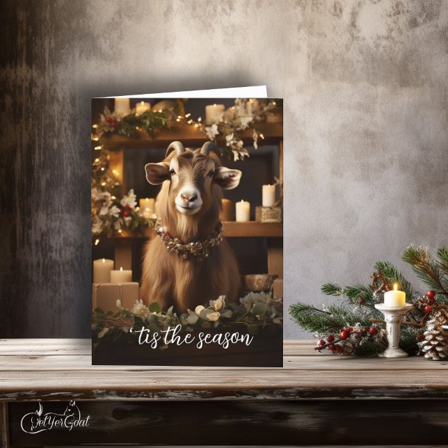 'ist die Jahreszeit Toggenburg-Ziege Karte (If you love goats - this is a great  Holiday card to send - festive and frame worthy #zazzlemade )