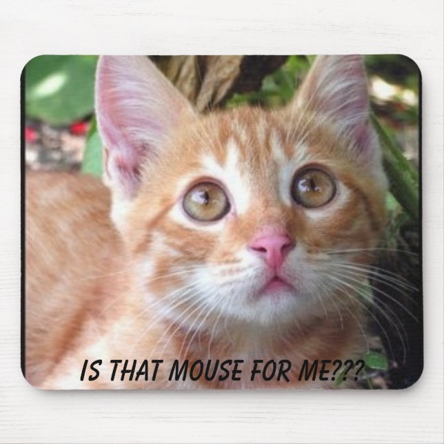 Ist diese Maus für mich? Mousepad (Vorne)