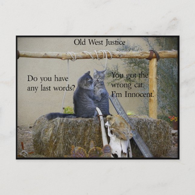 Ist einer der Earp Boys kurz davor, gejagt zu werd Postkarte (Vorderseite)