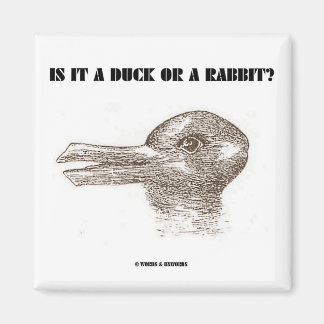Ist es eine Ente oder ein Kaninchen? (optische Ill Magnet