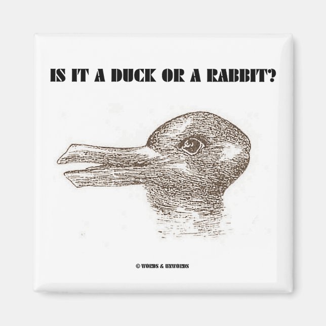 Ist es eine Ente oder ein Kaninchen? (optische Ill Magnet (Vorne)
