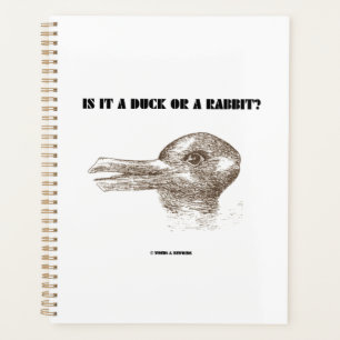 Ist es eine Ente oder ein Kaninchen? optische Illu Planer
