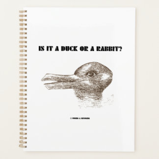 Ist es eine Ente oder ein Kaninchen? optische Illu Planer