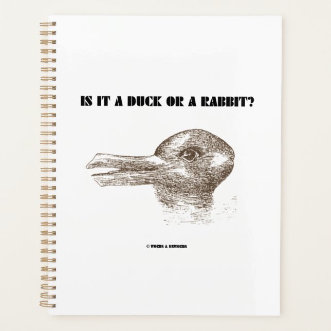 Ist es eine Ente oder ein Kaninchen? optische Illu Planer (Vorderseite)