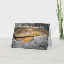 Ist es noch sicher? Bartagame Karte