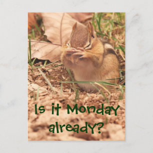 Ist es schon Montag? Chipmunk-Postkarte Postkarte