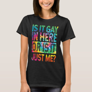 Ist es schwul hier drinnen ich schwul schwul lesbi T-Shirt