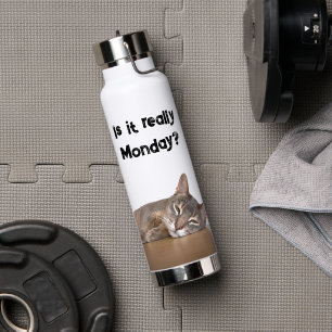 Ist es wirklich Montag? Funny Abyssinian Cat Meme Trinkflasche