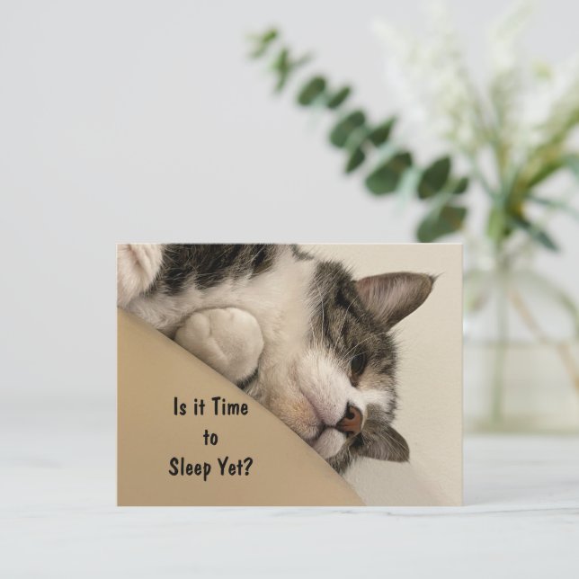 Ist es Zeit, die Postkarte zu schlafen? (Stehend Vorderseite)