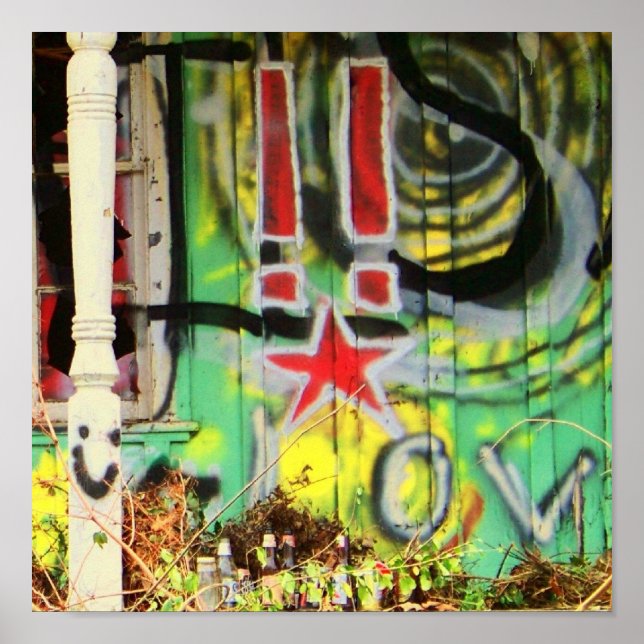 Ist es zu viel Grafitti? Poster (Vorne)