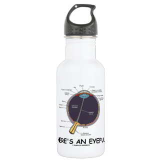 Ist hier ein Eyeful (Augen-Anatomie-Spaß) Trinkflasche