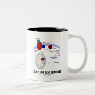 Ist hier, wie ich Winterschlaf halten kann Zweifarbige Tasse